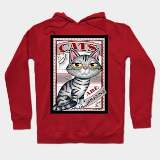 Cute Gray Tabby with gray, red,black, Cats are Amazing Hoodie